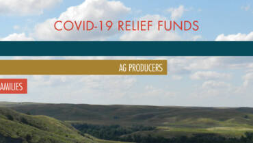Providing Economic Relief Through the Pandemic