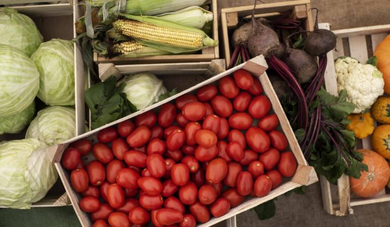 Four Bands Launches Project to Strengthen Local Food Systems